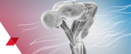 3D-Animation ChondroFIller liquid Vorschaumotiv